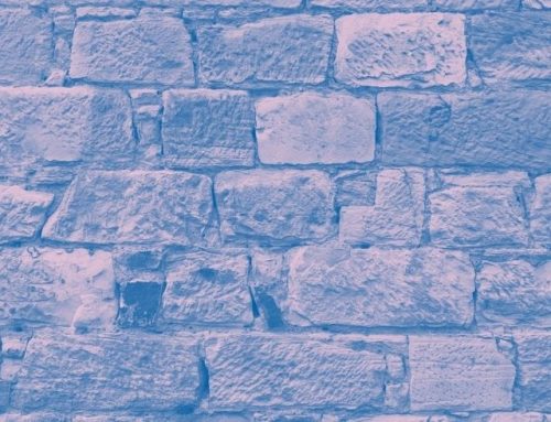 This one time when I tried to build an environmentally friendly home