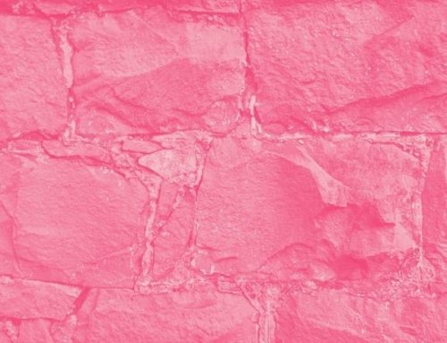 This one time when I built a mega gym in a day