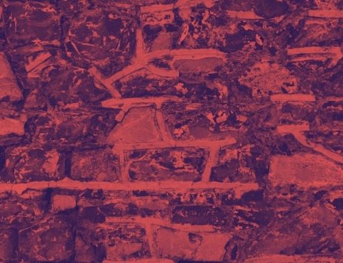 This one time I didn’t mind being called names