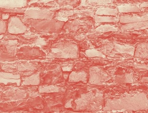 This one time when I saved a puppy but couldn’t save a human life