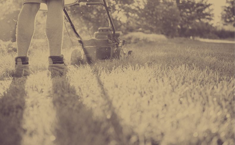 pitch Post Title here for best SEO results