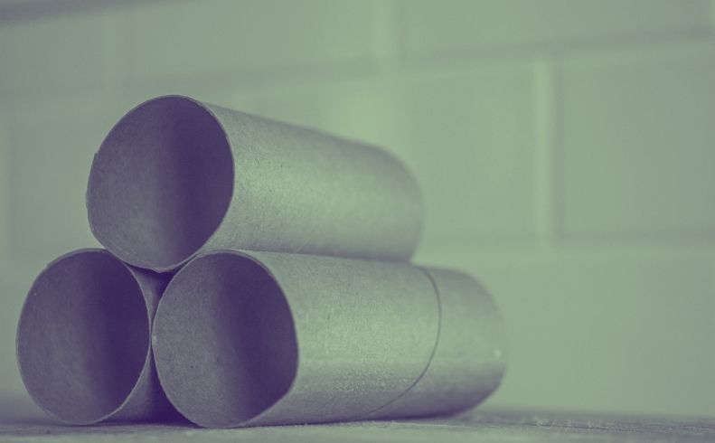 toiletrolls Post Title here for best SEO results