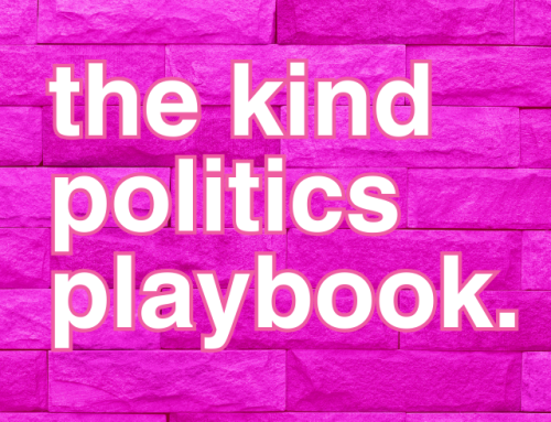the kind politics playbook: vibrant leadership for changemakers