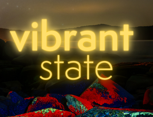 vibrant state: ten kind policies to transform Tasmania